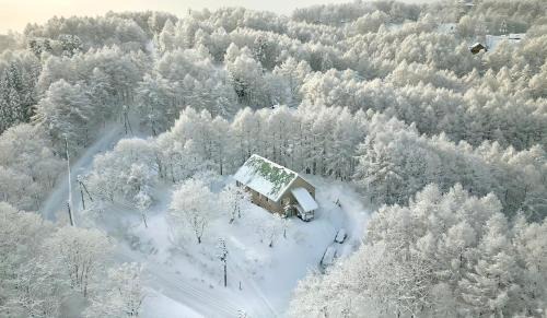Madarao Mountain Resort Cabina | Echoland Madarao エコーランド斑尾 All en-suite rooms & a free 3-minute shuttle to the ski resort