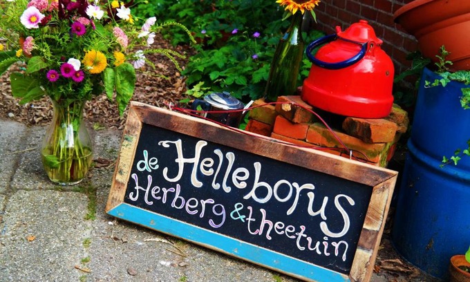 Oosterpoortwijk Otro | Eco-Camping De Helleborus, Yurt, Bell & Safari tent, Pipo, Caravans, Dorms and Units