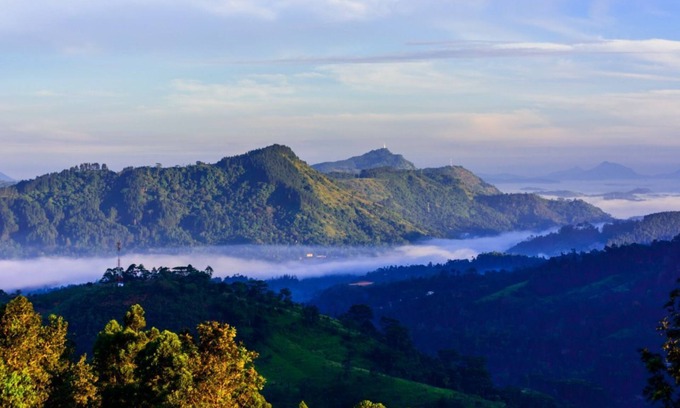 Nawalapitiya Complejo | Eco friendly luxury boutique resort located private colonial tea estate