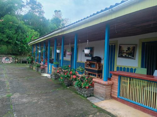 Alegrias Casa | Eco Hotel Donde Rosita