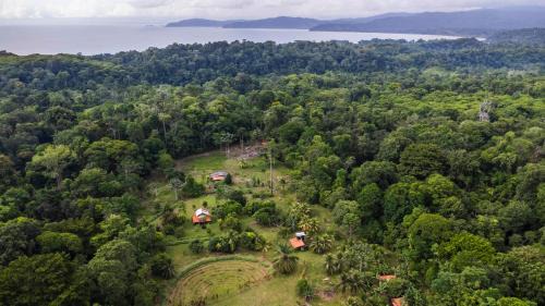 Drake Bay Casa | Eco Lodge&Farm Rustic Roots Reserve