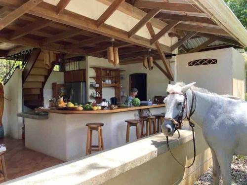 Puerto Jimenez Casa | Eco Lodge near Corcovado, 400m to Beach on a Peaceful Private Reserve