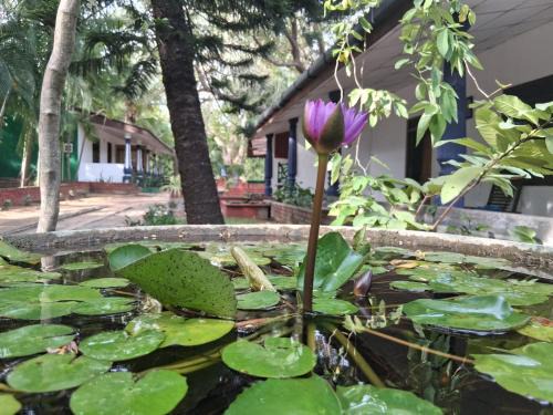 Moragaswewa Cabina | Eco Nature Rest