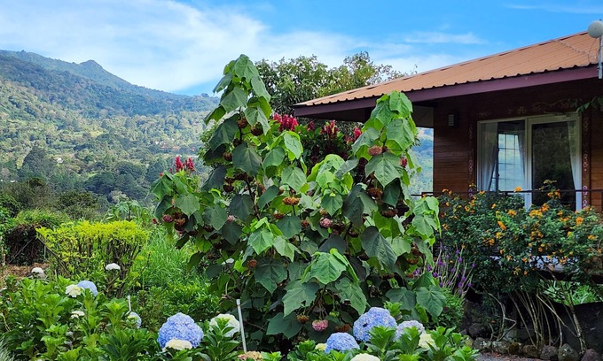 Los Naranjos Cama Y Desayuno | Eco resort: Panama's largest butterfly exhibit, native bee and honey farm