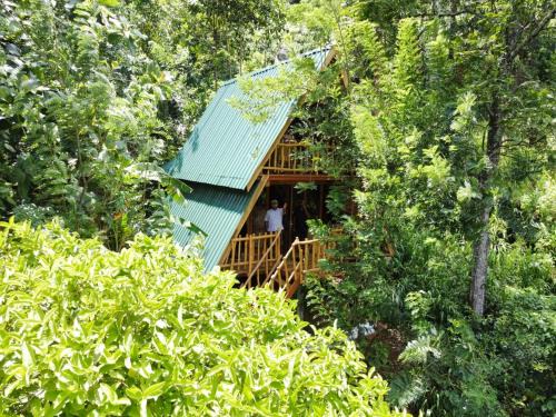 Ella Complejo | Eco Village