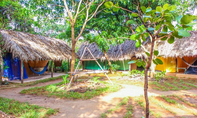 Sao Jorge Otro | Ecocamping Canto da Coruja