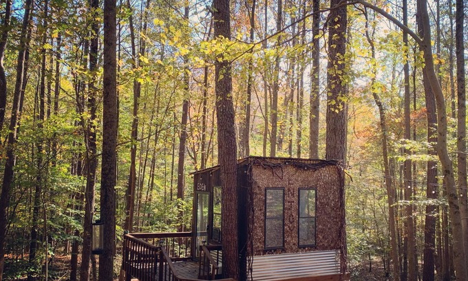 Canton Apartamento | Eden Treehouse at New Tiny-Living Eco-Farm