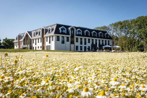 De Cocksdorp Hotel | Eilandhotel Texel - Nieuw geopend hotel
