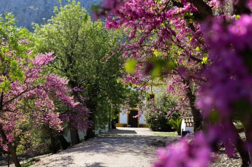 Jaen Casa | El Ayozar