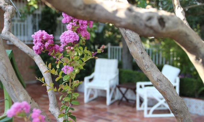 Barrio de la Vega Casa | El jardín de la abuela