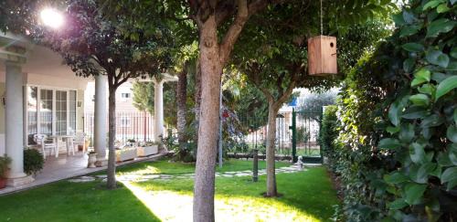 Tordesillas Casa | El olivo
