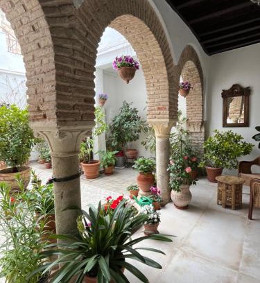 San Pedro Apartamento | El patio de Regina
