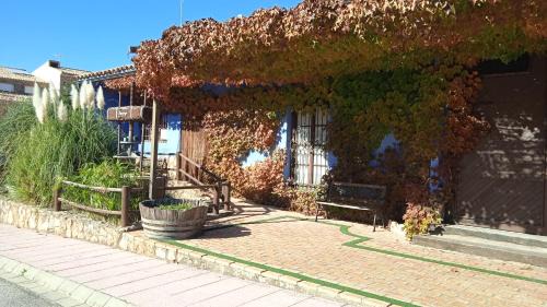 Riopar Casa | El Quinto Pino Riópar