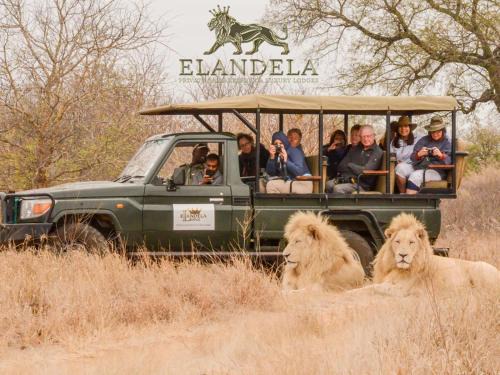 Thorny Bush Game Reserve Cabina | Elandela Private Game Reserve and Luxury Lodges Pty Ltd