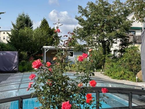 Magdeburg Apartamento | Elbidyll