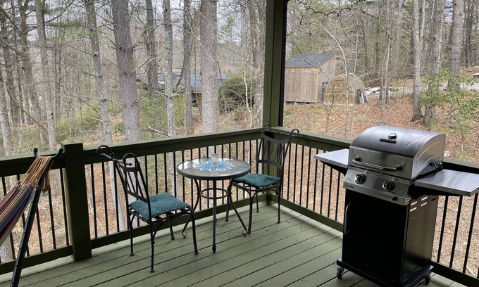 Mills River Cabina | Electric, Water, & WIFI- Sleeps 4