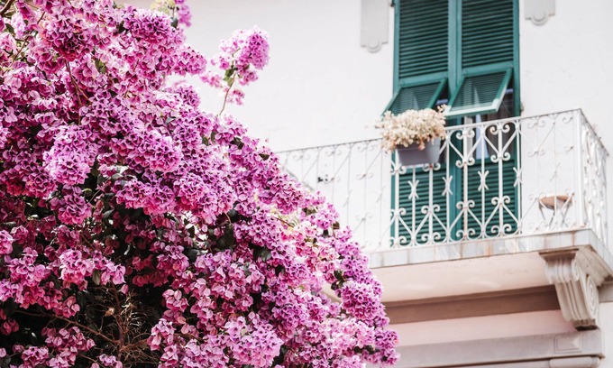 La Foce Apartamento | Elegant house surrounded by greenery