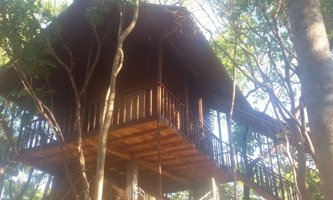 Buttala Otro | Elephant corridori camping
