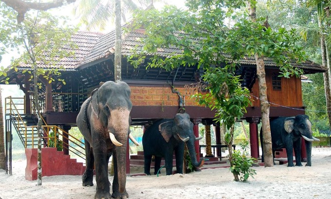 Cherthala Casa | Elephant Courtyard- A Heritage Homestay