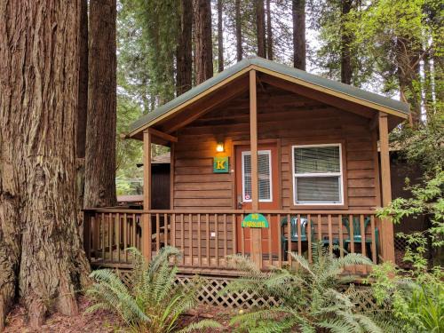 Trinidad Cabina | Emerald Forest Cabins
