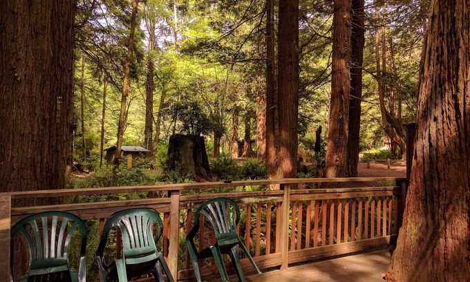 Trinidad Cabina | Emerald Forest Cabins