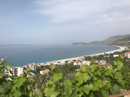 Qazim Pali Apartamento | Emili Apartment