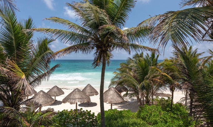 Zona Hotelera Complejo | Encantada Tulum
