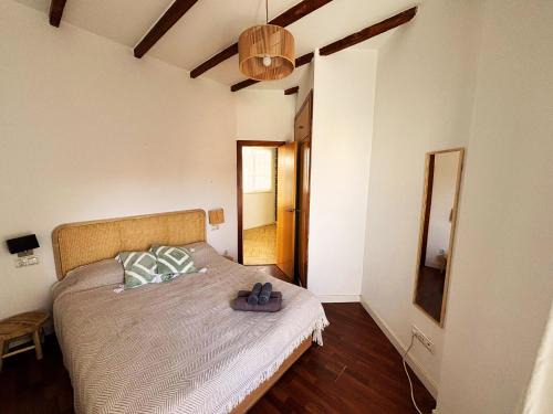 Benimaclet Apartamento | Encantador piso en Benimaclet
