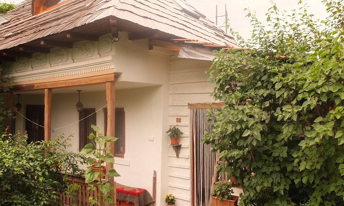 Valsanesti Casa | Encantadora casa tradicional antigua y jardín cerca del bosque cerca de Curtea de Arges