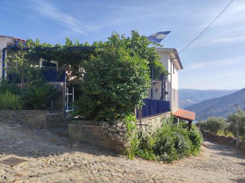 Bomfim Casa | Encosta do Pinhão