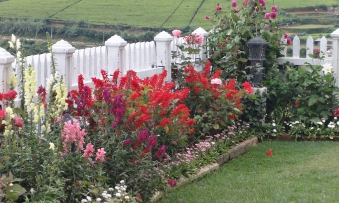 Nuwara Eliya Casa | El bungalow Endeavour Hills Holiday consta de 7 habitaciones privadas.