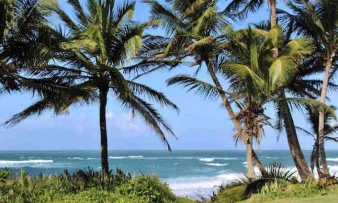 Hato Abajo Apartamento | Enjoy beaches, water sports, nature & more!