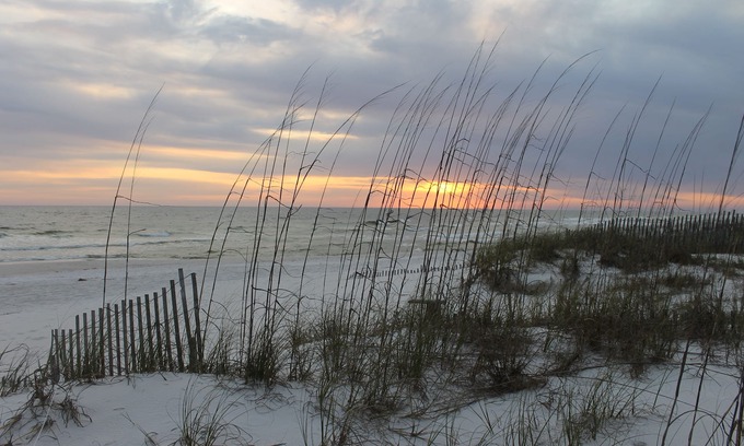 Inlet Beach Casa | Invierno en Beach Front Home en Inlet Beach; Descuentos mensuales ofrecidos