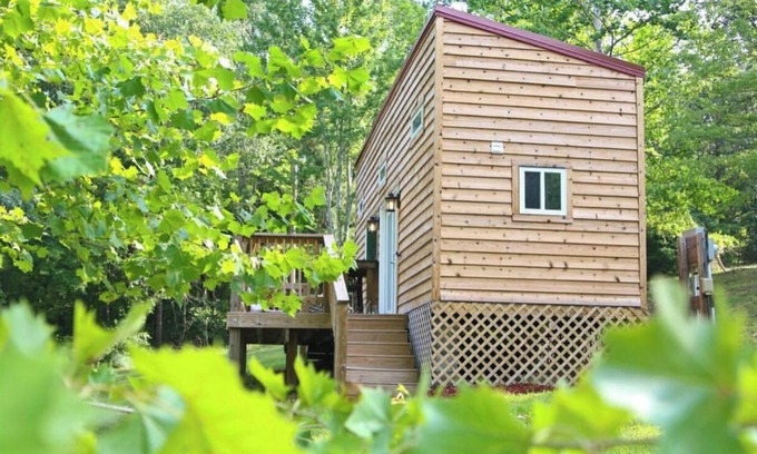 Clover Cabina | Enjoy Quiet and tranquility 2 private wooded acres!!!