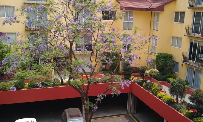 Coyoacan Apartamento | Enjoy the best location on Mexico City in San Angel