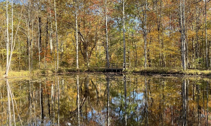 Sperryville Cabaña | Cozy cottage close to Main Street Sperryville and Shenandoah National Park.