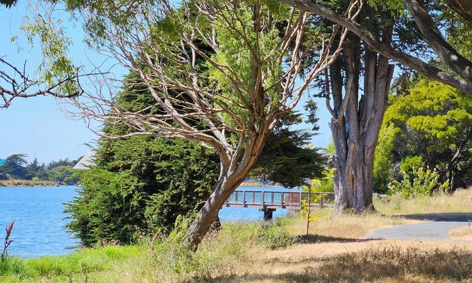 San Francisco Apartamento | Enjoyable 1-bedroom in Emeryville, Marina views.