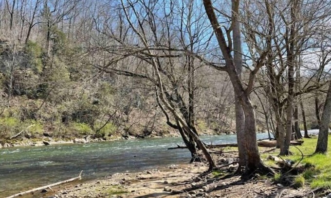 Central Apartamento | Entire 2 bed 1 bath apt in Johnson City