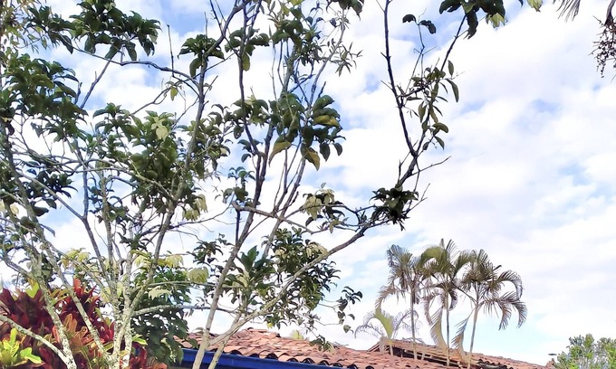 Quimbaya Casa | Entire 5 bedroom Country House in the Heart of the Colombian Coffee area