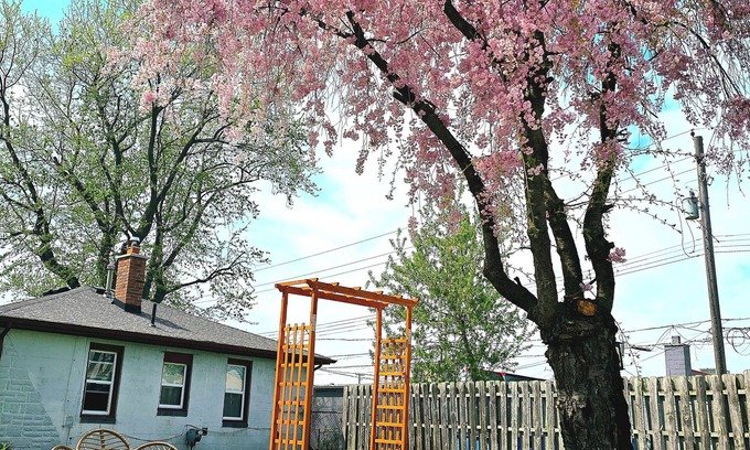 Ferndale Casa | Entire LARGE property, house w WiFi, pool, mini golf, hot tub, and new RV!
