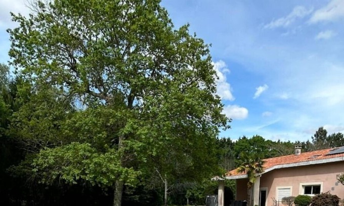 Cestas Casa | Entre Bordeaux et Arcachon