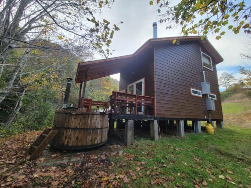 Villarrica Cabina | Entre Pampa y Bosque