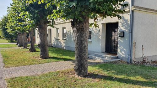 Milow Apartamento | Entspanntes Wohnen Deibow