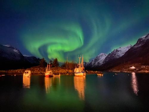 Ersfjordbotn Apartamento | Ersfjord Villa Apt