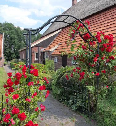 Diepenheim Apartamento | Erve Niehof