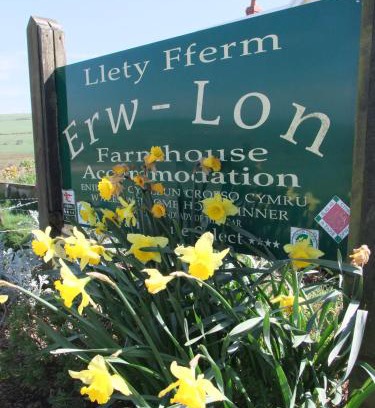 Fishguard Cama Y Desayuno | Erw-Lon Farm