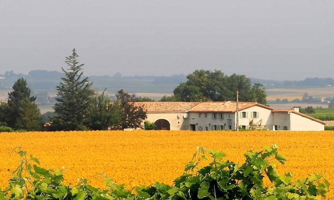 Leoville Casa | ** La piscina es cálida y el jardín Chai está rodeado de girasoles - Magia **