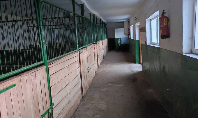 Gulyantsi Casa | ESCUS HORSES