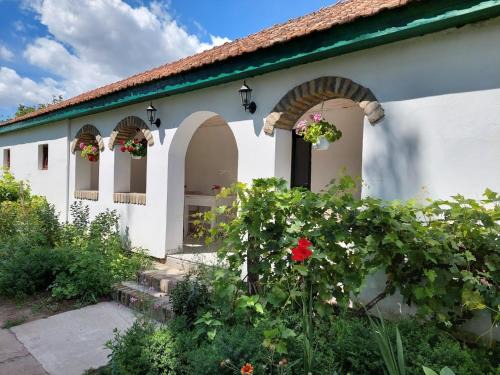 Vojvodina Casa | EVA HOUSE