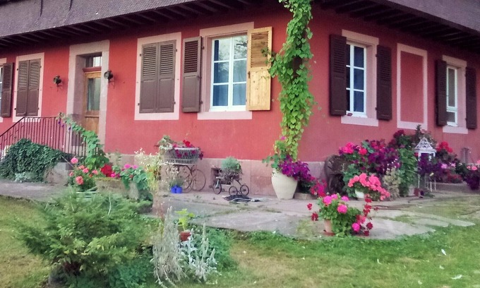 Munster Apartamento | Sitio excepcional en el borde del bosque, entre montañas y campo.